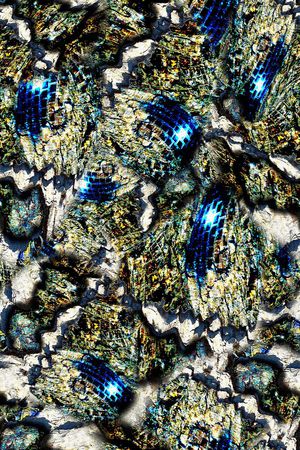 抽象印花华亿平台图片