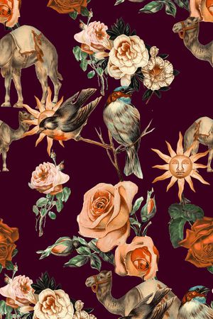 女装秋冬外套印花华亿平台图片