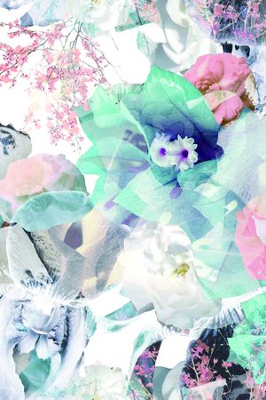 大花印花华亿平台图片