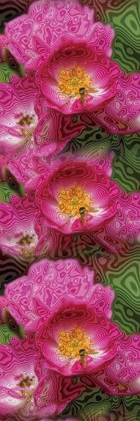 梦幻印花华亿平台图片