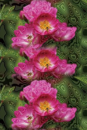 梦幻印花华亿平台图片