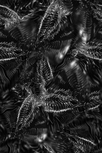 688639-FLZ-8-64.....