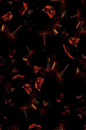 男装印花华亿平台图片