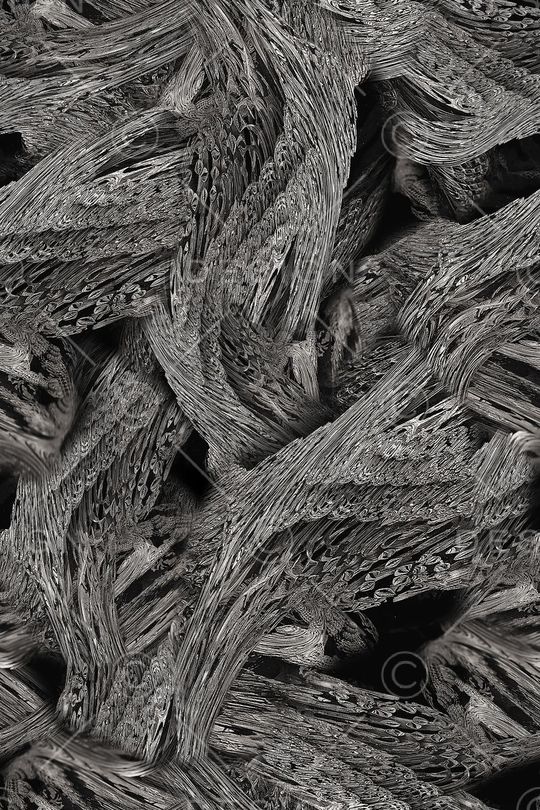 男装印花华亿平台图片