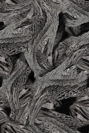 男装印花华亿平台图片