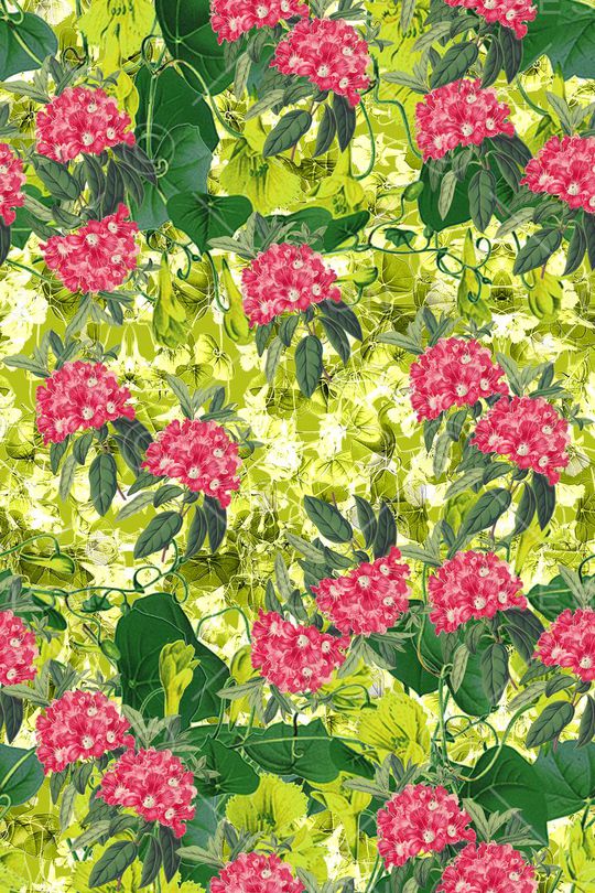 花瓣印花华亿平台图片