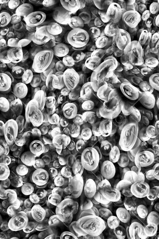 男装印花华亿平台图片