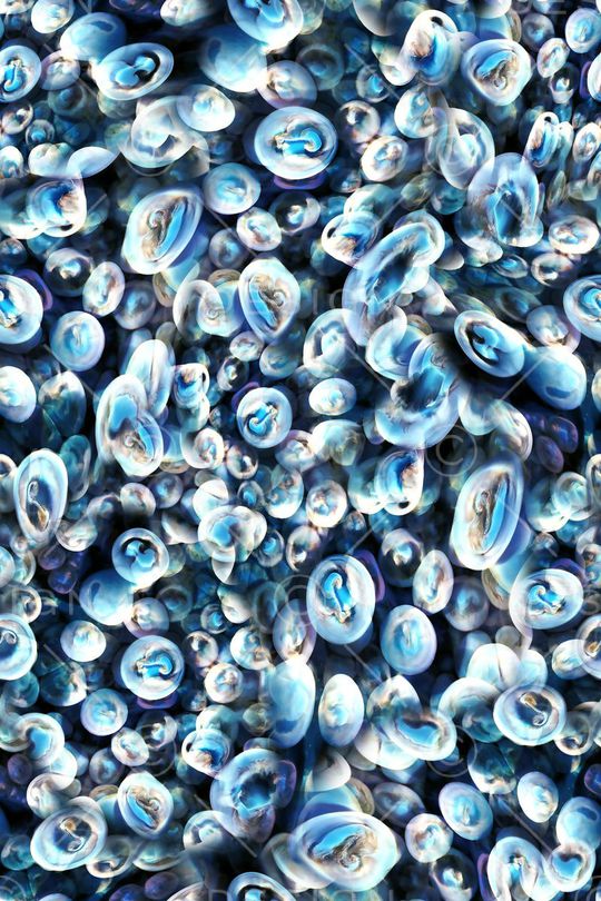 男装印花华亿平台图片