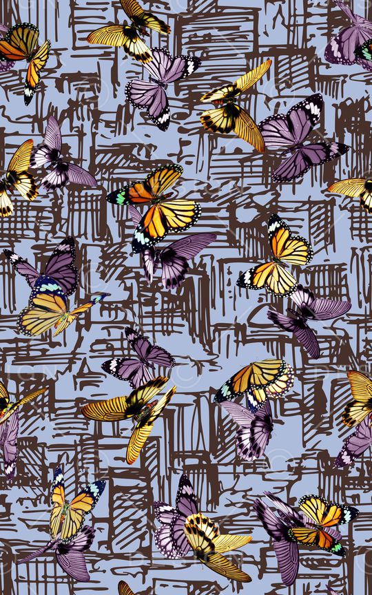 蝴蝶印花华亿平台图片