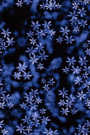 时尚印花华亿平台图片