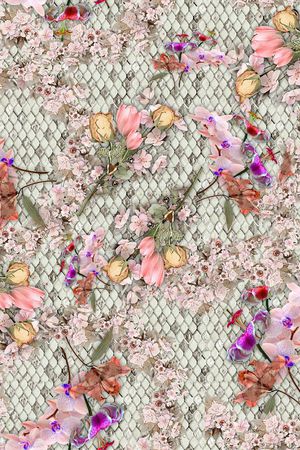 colorfull印花华亿平台图片