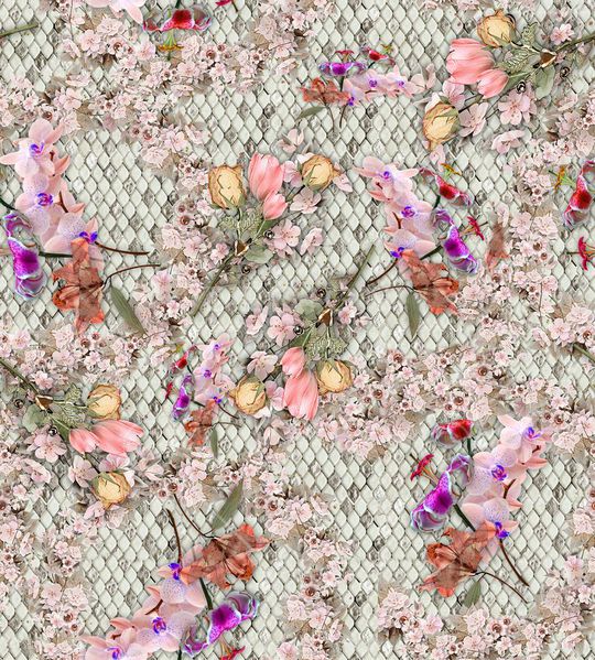 colorfull印花华亿平台图片