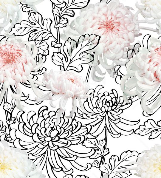 线描菊花印花华亿平台图片