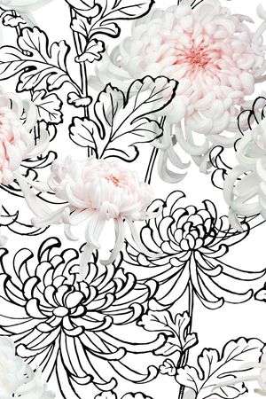 线描菊花印花华亿平台图片