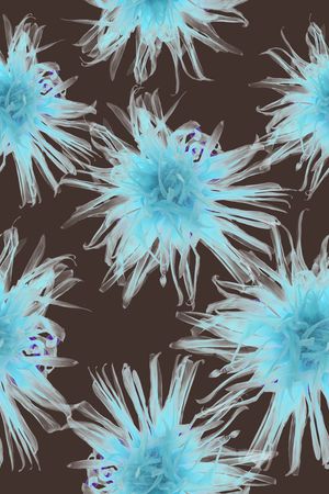 半透明印花华亿平台图片