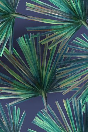 芭蕉叶印花华亿平台图片