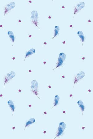 羽毛印花华亿平台图片