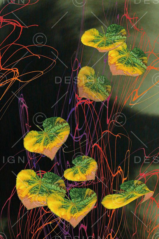 梦幻印花华亿平台图片