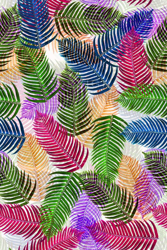 MAX-热带风情印花华亿平台图片