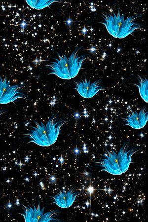 星空印花华亿平台图片