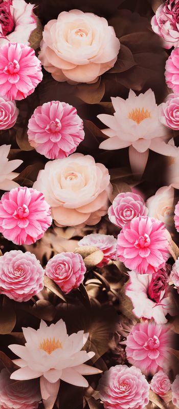 荷花印花华亿平台图片