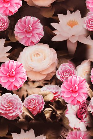 荷花印花华亿平台图片