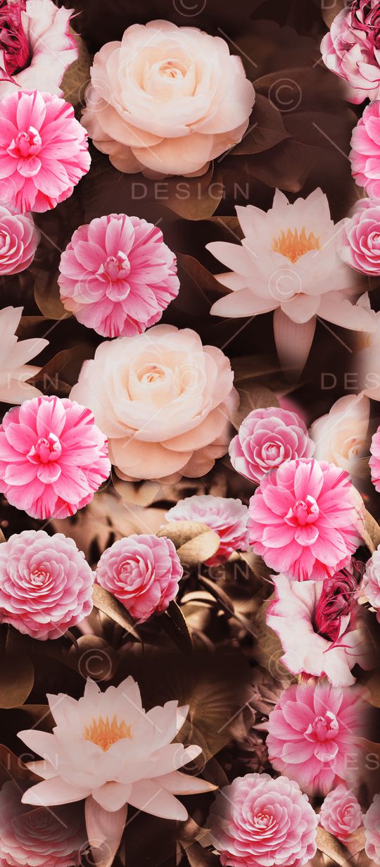 荷花印花华亿平台图片