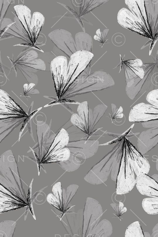 蝴蝶印花华亿平台图片