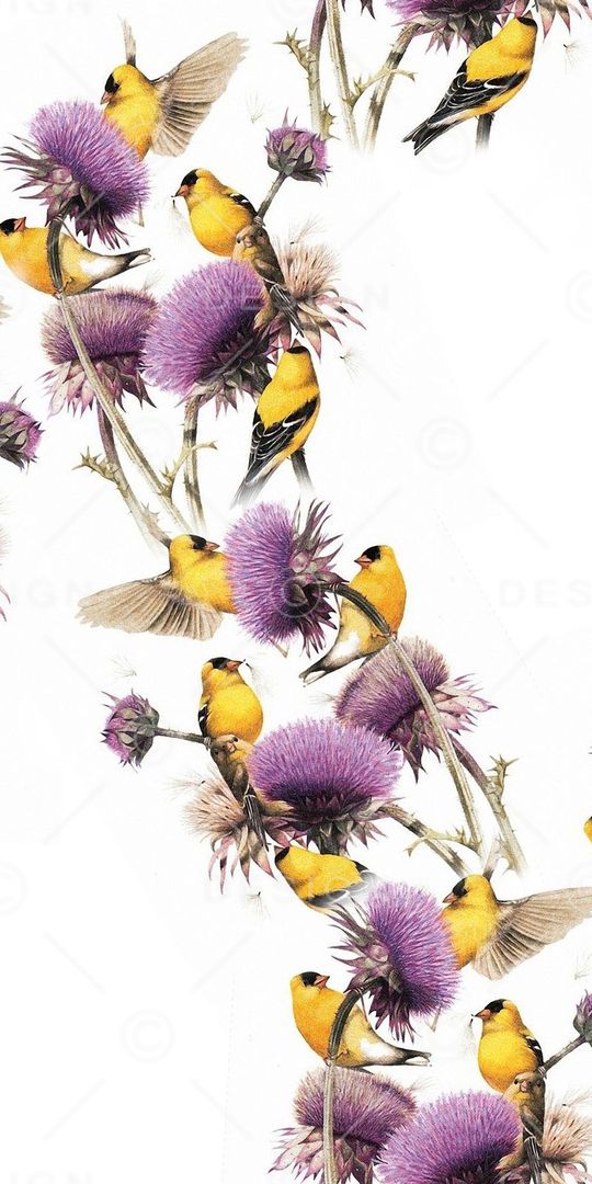 清新印花华亿平台图片