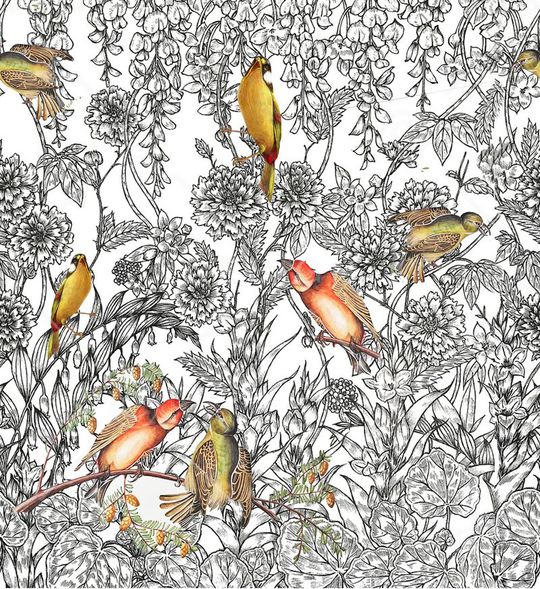 鸟印花华亿平台图片