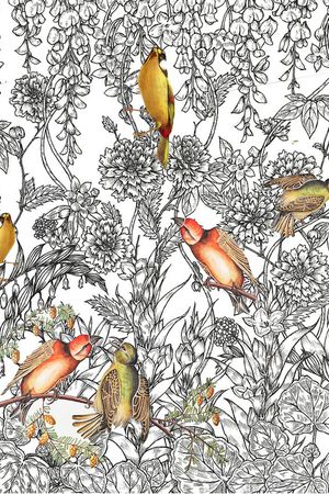 鸟印花华亿平台图片