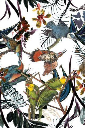 热带印花华亿平台图片