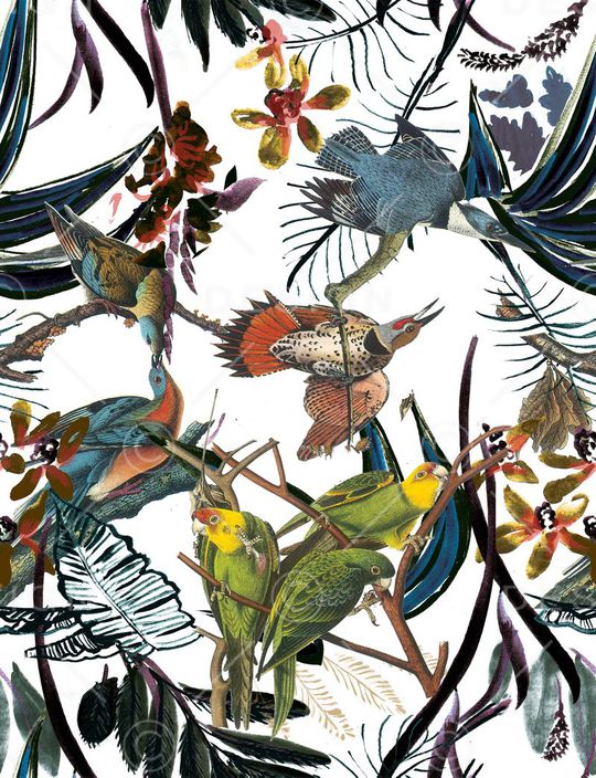 热带印花华亿平台图片