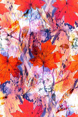 零点--泳装印花华亿平台图片