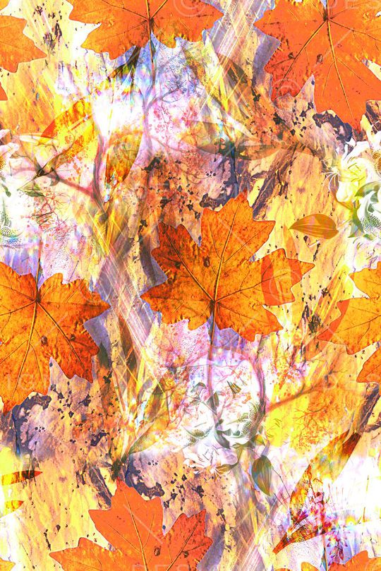 零点--泳装印花华亿平台图片