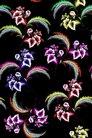 689989-2016-8-14叶子花卉2