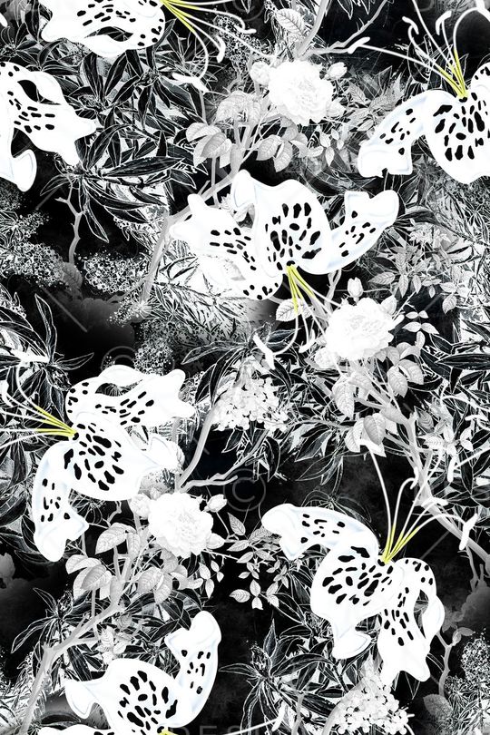 黑白印花华亿平台图片