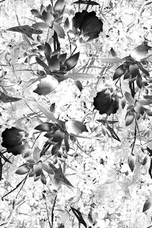 荷花印花华亿平台图片