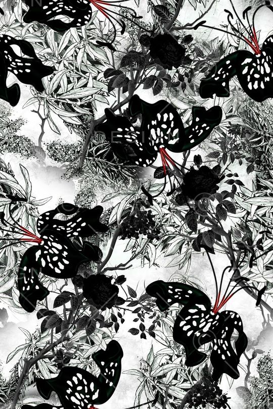 黑白印花华亿平台图片