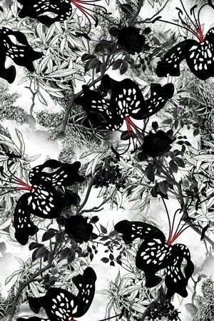 黑白印花华亿平台图片