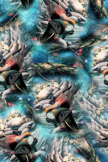 690072-0806中国风花鸟-1