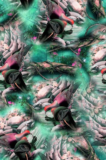 690074-0806中国风花鸟-3