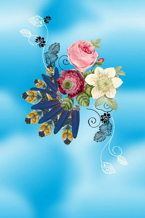 羽毛印花华亿平台图片