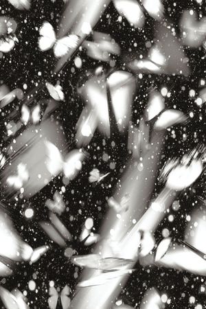 抽象太空印花华亿平台图片