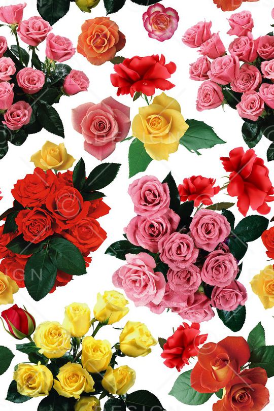 花朵印花华亿平台图片