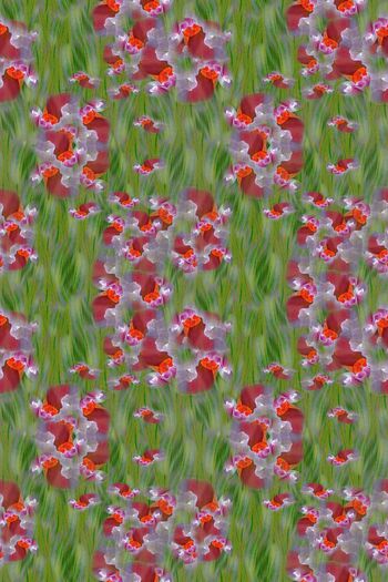 690711-160712-cszb-3-4++