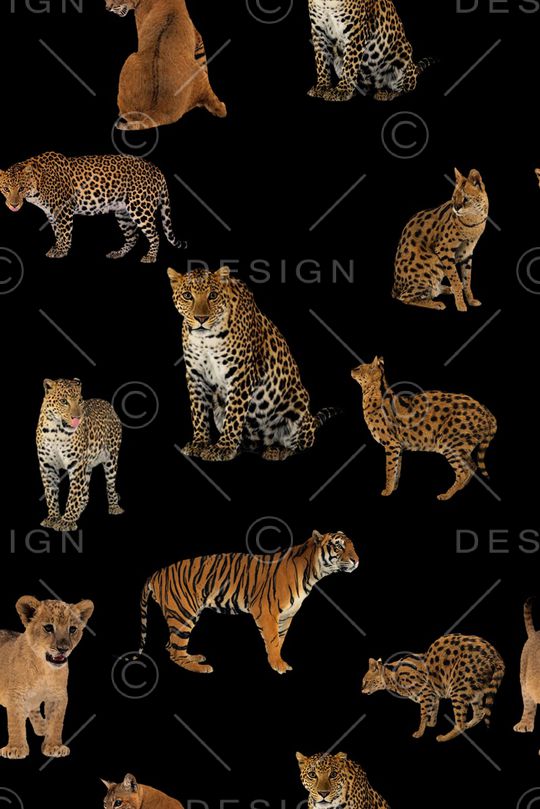 豹纹印花华亿平台图片