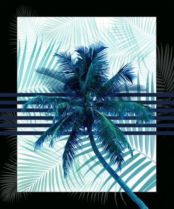 棕榈叶印花华亿平台图片