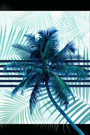 棕榈叶印花华亿平台图片