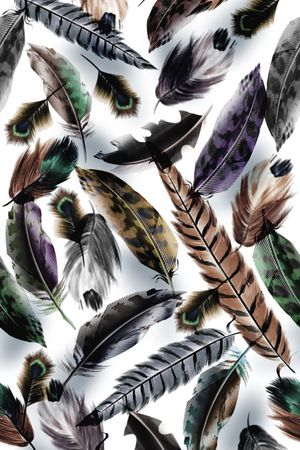 洋阳---动物纹印花华亿平台图片